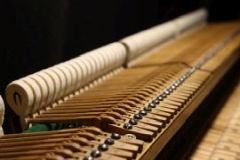 Blüthner Flügel